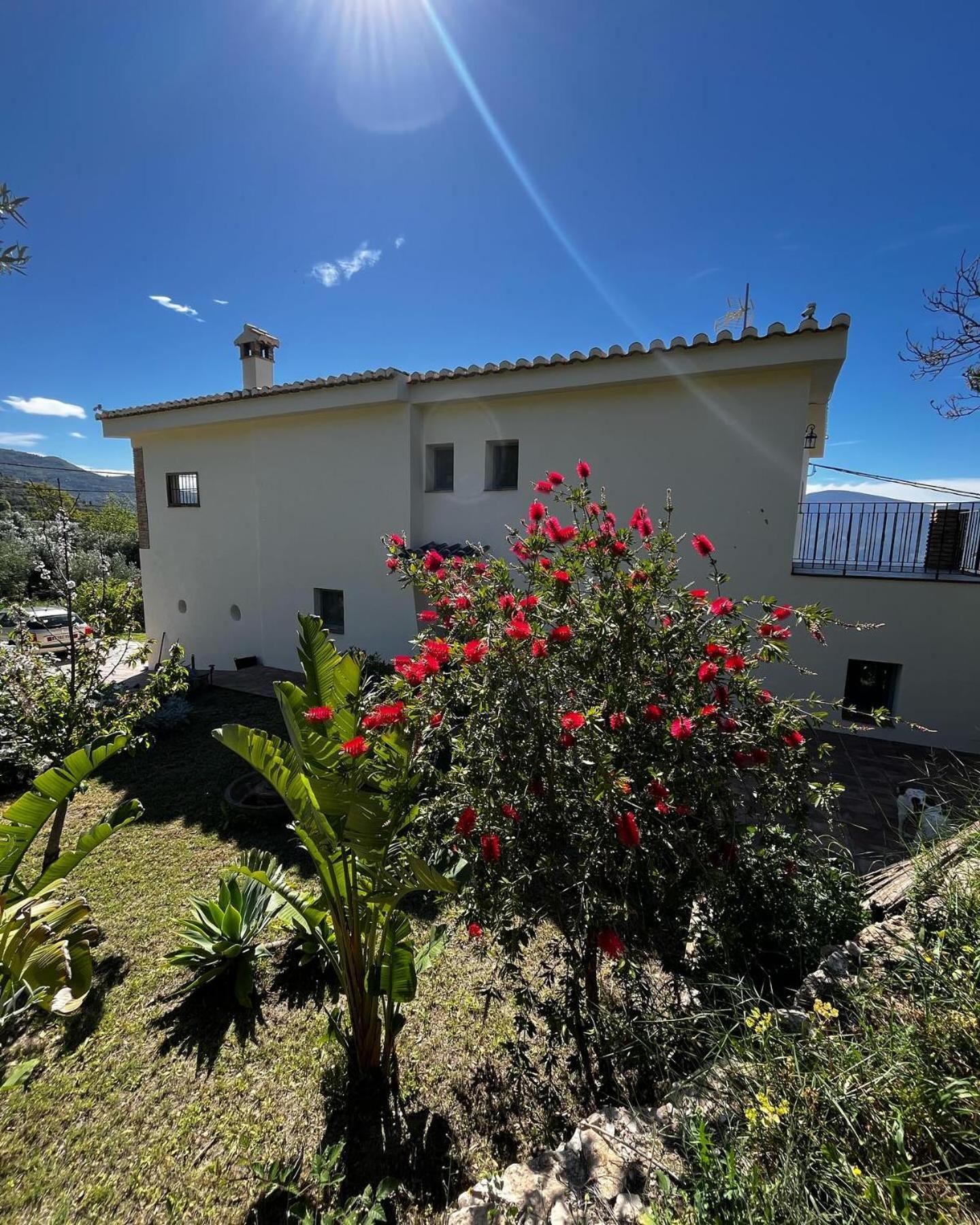 Cortijo Privilegio 란야론 외부 사진